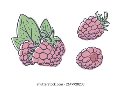 Simple hand drawn sketch of bright ripe raspberries isolated on white background. Vector illustration EPS10