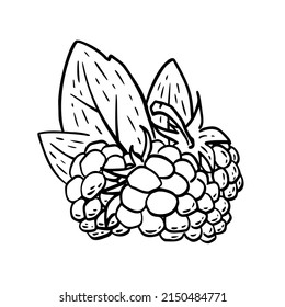 Einfache, handgezeichnete Skizze aus hellreifen Himbeeren einzeln auf weißem Hintergrund. Vektorgrafik EPS10