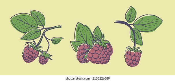 Simple hand drawn sketch of bright ripe raspberries on yellow background. Vector illustration EPS10