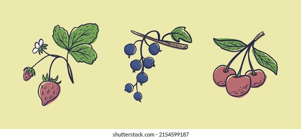 Simple hand drawn sketch of bright ripe berries (strawberry, black currant, cherry) on yellow background. Vector illustration EPS10