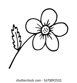 Simple hand drawn sketch of flower