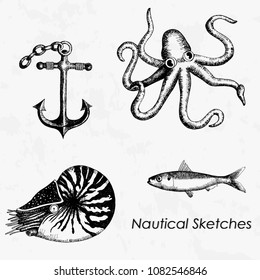 Simple hand drawn sketches in nautical theme.