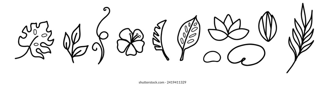 Elementos simples de diseño de vectores florales tropicales dibujados a mano en estilo doodle. Conjunto de hojas, flores y ramas. Para el patrón, logotipo o decoración.