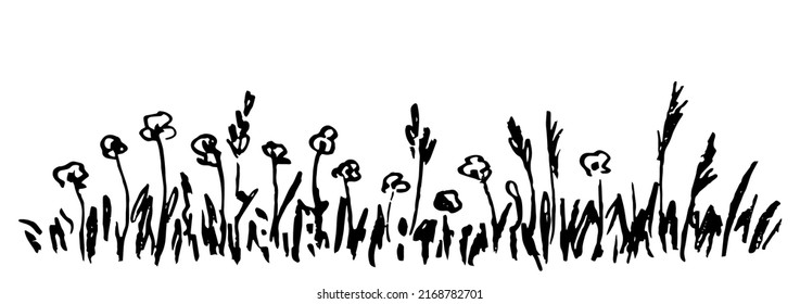 Sencillo dibujo a mano de lápiz de carbón vegetal. Banner floral largo, borde de flores praderas, hierbas de campo, césped. Naturaleza y plantas, hierba de pampas silvestres.