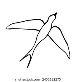 Simple hand drawn vector drawing with black outline. Swallow bird in flight, nature, ornithology. Sketch in ink.