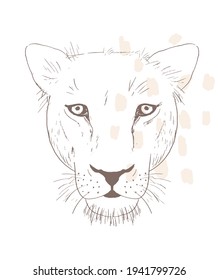 Simple Hand Drawn Vector Illustration with Head of a Tiger. Wild Cat Portrait with Beige Spots Islolated on a White Background. Safari Party Print ideal for Wall Art, Poster, Card. 