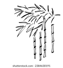 Simple hand drawn vector illustration with black outline. Bamboo thickets, stems and leaves, bush. Nature and vegetation. Sketch in ink.