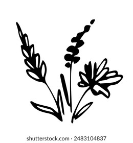 Simple hand drawn vector illustration with black outline. A small bouquet, a spikelet, a chamomile, a flower inflorescence. Sketch in ink.