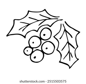 Simple hand drawn vector illustration with black outline. Holly leaves and berries, Christmas decoration, plant. Sketch in ink.