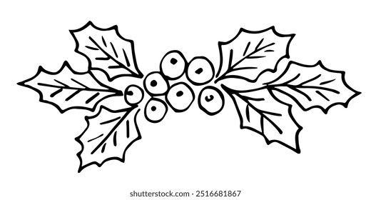 Ilustración vectorial simple dibujada a mano con contorno negro. Hojas de acebo y bayas, naturaleza y plantas. Navidades, decoración del año Nuevo. Boceto en tinta.