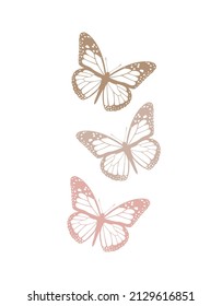 Simple Hand Drawn Vector Illustrations with Three Pastel Pink and Light Brown Butterfies. Elegant Vector Print ideal for Wall Art, Poster, Card. Delicate Butterflies Isolated on a White Background.