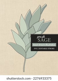 Simple hand drawn vector image of a sage stem with editable strokes.  Great for logos, social media, icons, cards, posters, labels, packaging, print graphics and more.