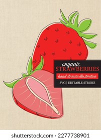 Simple hand drawn vector image of a strawberry with editable strokes.  Great for logos, social media, icons, cards, posters, labels, packaging, print graphics and more.