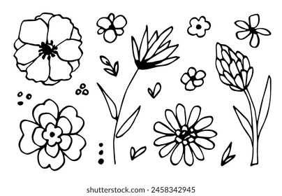 Simple hand drawn vector set of floral elements. Flowers, stems and twigs, summer decor. Sketch in ink, drawing with black outline.