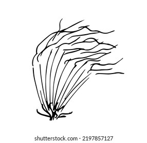 Simple hand drawn vector sketch in ink. Feather bush, dry grass. Plants of steppes and prairies. Landscape and nature.