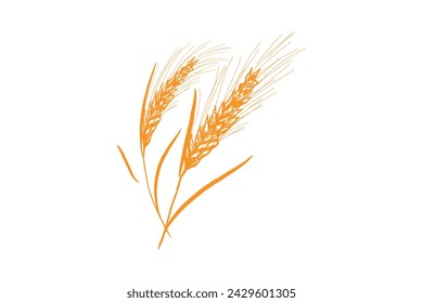 Simple hand drawn wheat logo, wheat icon vector on white background.