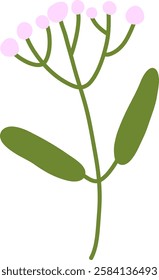 Simple Hand Drawn Wildflower Vector Illustration