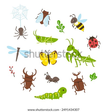 simple hand writing illustration of insects