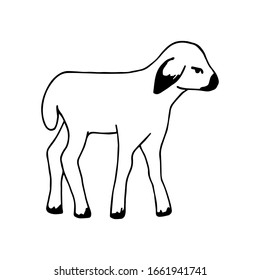 Simple hand-drawn black outline vector drawing. Little cute lamb isolated on a white background. Farm animals, livestock breeding, zoo.