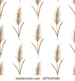 Simple hand-drawn calm floral vector seamless pattern in pastel colors. Panicle inflorescences, pampas grass, reeds on a white background. For prints of fabric, wallpaper, textile products.