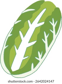 Simple Hand-Drawn Chinese Cabbage Vegetable Illustration
