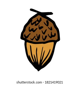Simple hand-drawn color vector drawing. Acorn isolated on white background, oak seeds, forest plants. For prints, labels, nature, autumn design.