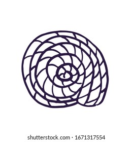A simple hand-drawn element of a seashell or mollusk in doodle style isolated on white background for logo design and print.
