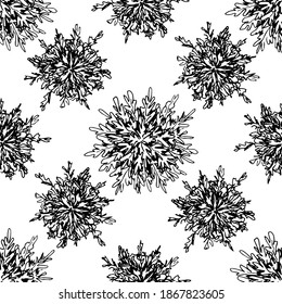 Simple hand-drawn floral vector seamless pattern. Spores of desert plants, selaginella lepidophylla, jericho rose, resurrection flower, anastatica on a white background. Packaging design, label.