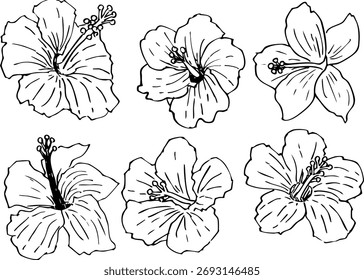 Vector de ilustración de dibujo de línea de hibisco dibujado a mano simple
