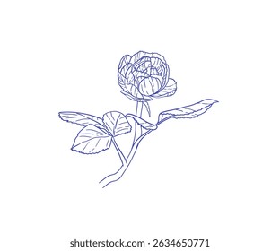 Simple hand-drawn rose branch with bloom and leaves. A classic line art floral design for elegant prints, invitations, or logos