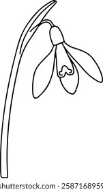 Simple Hand-drawn Snowdrop with Drooping Flower Head