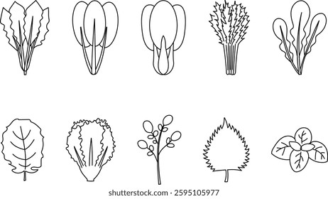 Simple Hand-Drawn Style Vegetable Icons - Vector Illustration Set