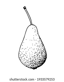 Simple hand-drawn vector black outline drawing. Pear isolated on a white background. Garden fruits, farm products. For prints, labels, markets. Children's coloring.