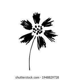 Simple hand-drawn vector black and white drawing. Field cornflower, meadow plants. For prints, production decor, pattern creation. Ink sketch.