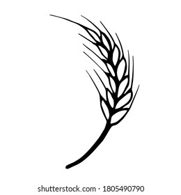Simple hand  drawn vector drawing in black outline  Wheat spikelet isolated white background  Cereals  flour products  For prints  label  logo  shop  bakery 