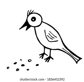 Simple hand-drawn vector drawing in black outline. Little bird pecks grain. Nature, ornithology.