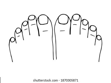 Simple hand-drawn vector drawing in black outline. Two feet top view, toes, nails, pedicure.