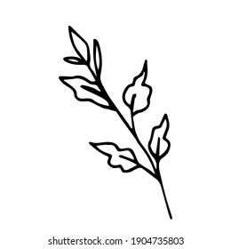 Simple hand-drawn vector drawing in black outline. Branch with leaves isolated on white background. Nature, spring-summer season.