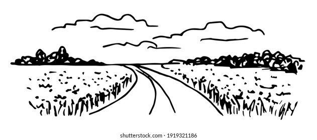 Simple hand-drawn vector drawing in black outline. Rural panoramic landscape, road, field, clouds in the sky, trees on the horizon. For labels, packaging. Ink sketch. Countryside, nature.
