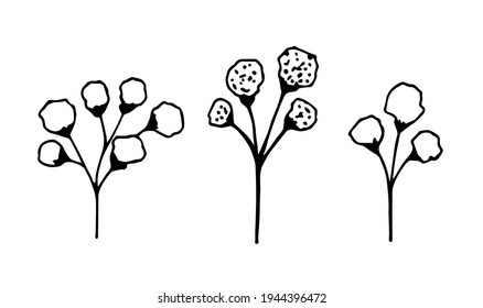 Simple hand-drawn vector drawing in black outline. A set of gypsophila twigs. Delicate spring flowers. Blooming bush, branches. For decorating seasonal holiday design. For postcards, invitations.