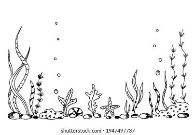 Simple hand-drawn vector drawing in black outline. Underwater world, seabed, nature. Kelp algae, reef corals, bubbles. For printing the label of fishing tackle, aquarium.