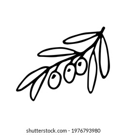 simple hand-drawn vector drawing in black outline. Olive tree branch, foliage. For the design of menus, products, kitchen utensils, dishes, recipes. For labels and packaging, care cosmetics.