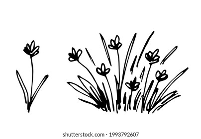 Simple hand-drawn vector drawing in black outline. Steppe herbs, wildflowers. Meadow wild plants. Flora, a bush of flowering vegetation.