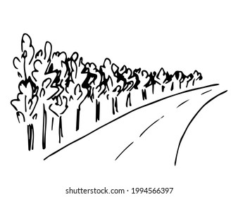 Simple hand-drawn vector drawing in black outline. Trees along the road. Trip and journey. Ink sketch.