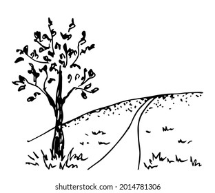 Simple hand-drawn vector drawing in black outline. Nature, landscape and travel. Hill road, grass, lonely tree. Ink sketch.