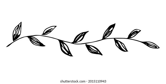 Simple hand-drawn vector drawing in black outline. Long garland of leaves, banner. Ink sketch. Horizontal branch isolated on a white background.