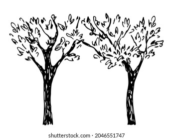 Simple hand-drawn vector drawing in black outline. Deciduous trees, arch, passage. Nature and landscape. Ink sketch.