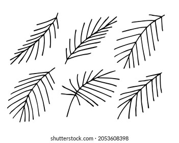 Simple hand-drawn vector drawing in black outline. Palm leaves set. Nature and vegetation. Ink sketch.