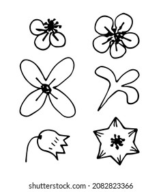 Simple hand-drawn vector drawing in black outline. Set of abstract flowers. Nature and plants. Ink sketch. Doodle style.