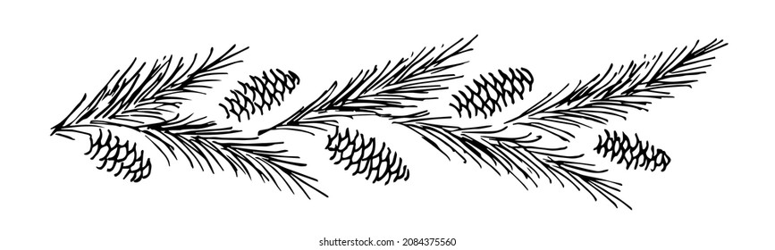 Simple Hand-drawn Vector Drawing In Black Outline. Pine Branches And Cones, Festive Garland, Banner. New Year's, Christmas Design. Conifers, Decorations. Ink Sketch.